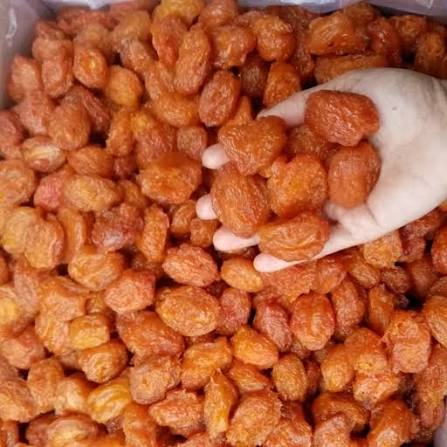 قیمت آلو خشک